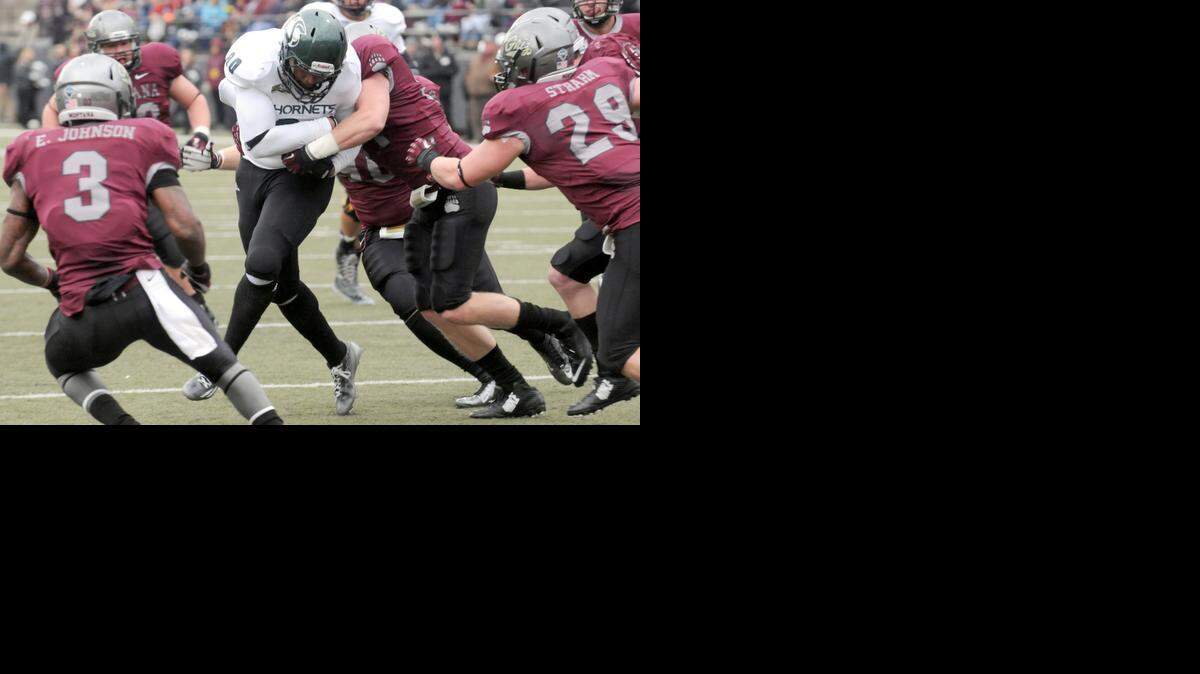 
Sacramento State tight end Chris Broadnax is swarmed by Montana’s defense during the second half of their game on Saturday in Missoula, Mont.


