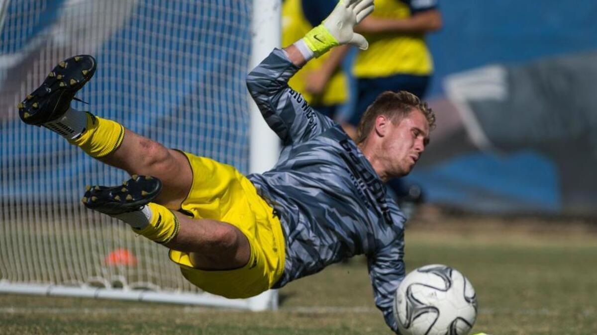 
UC Davis goalkeeper Kris Schultz warms up prior to a game against the Cal Poly Mustangs on Wednesday, Oct. 14, in Davis. 

