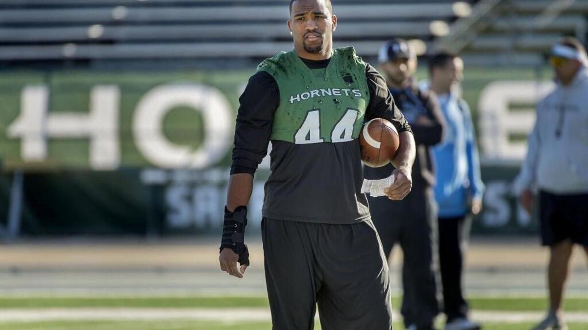 
Sacramento State senior linebacker Darnell Sankey has developed into an NFL prospect.

