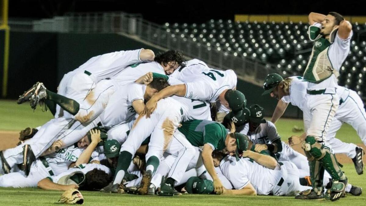 Players on Sacramento State’s baseball team pile on top of each other after beating Cal State Bakersfield 5-0 for the Western Athletic Conference championship in Mesa, Ariz., on Saturday, May 27, 2017.