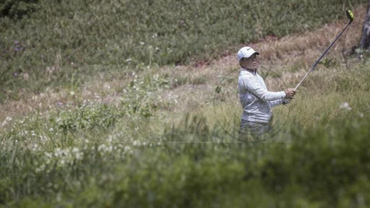 Miguel Luis Tabuena watches his tee shot on the third hole during 2016 U.S. Open Sectional Qualifying at Lake Merced Golf Club, on Monday, June 6, 2016 in Daly City. Tabuena was the medalist, and Tyler Raber of Davis finished four strokes behind him.