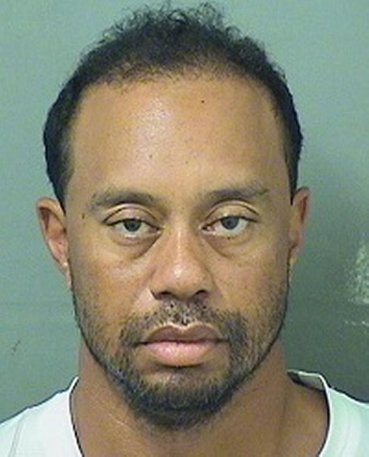 Tiger Woods’ booking image.