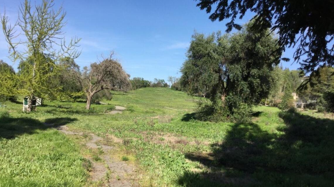 What happens to golf courses that die? This one could become fenced-off open space.