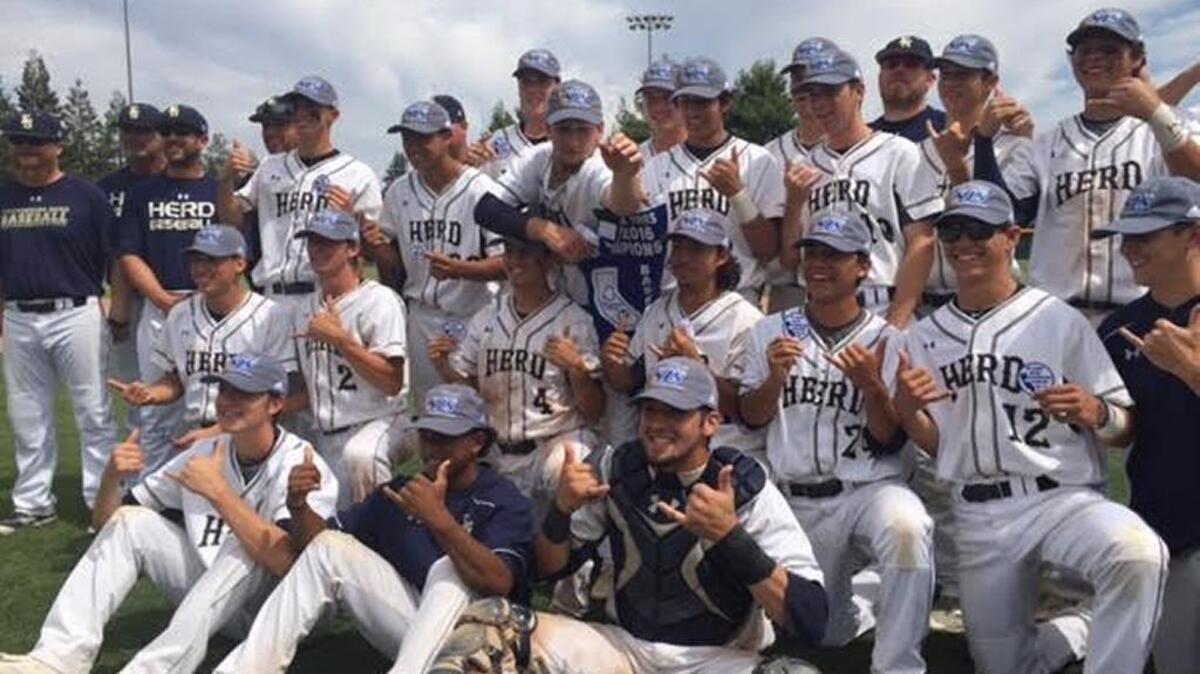 The Elk Grove High baseball team celebrates after winning its third Sac-Joaquin Section Division I title in 4 years and 7th since 2003 under coach Jeff Carlson on Saturday.
