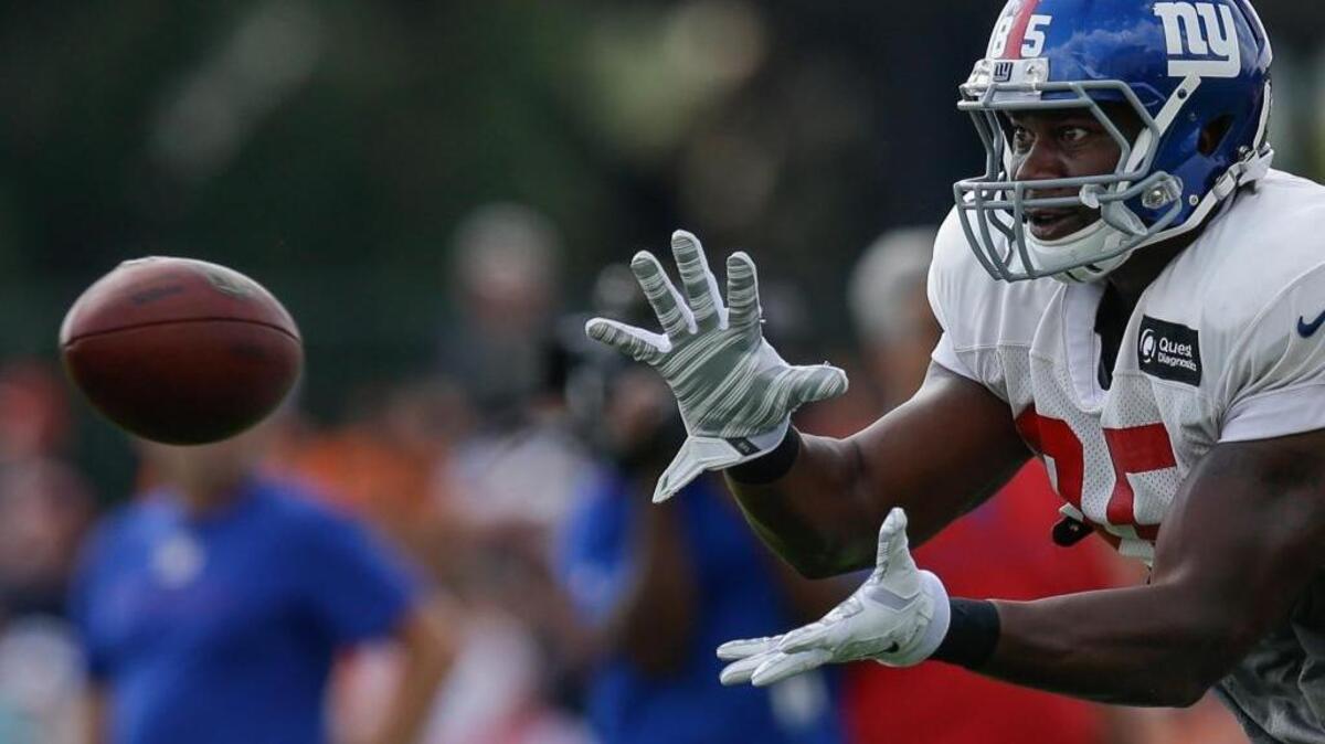 
Former UC Davis player Daniel Fells catches a pass during during a New York Giants training camp practice session on Tuesday, Aug. 11, 2015. Fells is fighting a powerful staph-infection bacteria resistant to penicillin-type treatments. 
