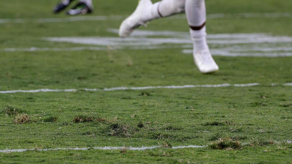 
A San Francisco 49ers player runs on the field at Levi's Stadium during the team's NFL football training camp in Santa Clara, Calif., Saturday, Aug. 1, 2015. It took less than a half-hour into the 49ers’ first practice for the Levi’s Stadium sod to come up in pieces.
