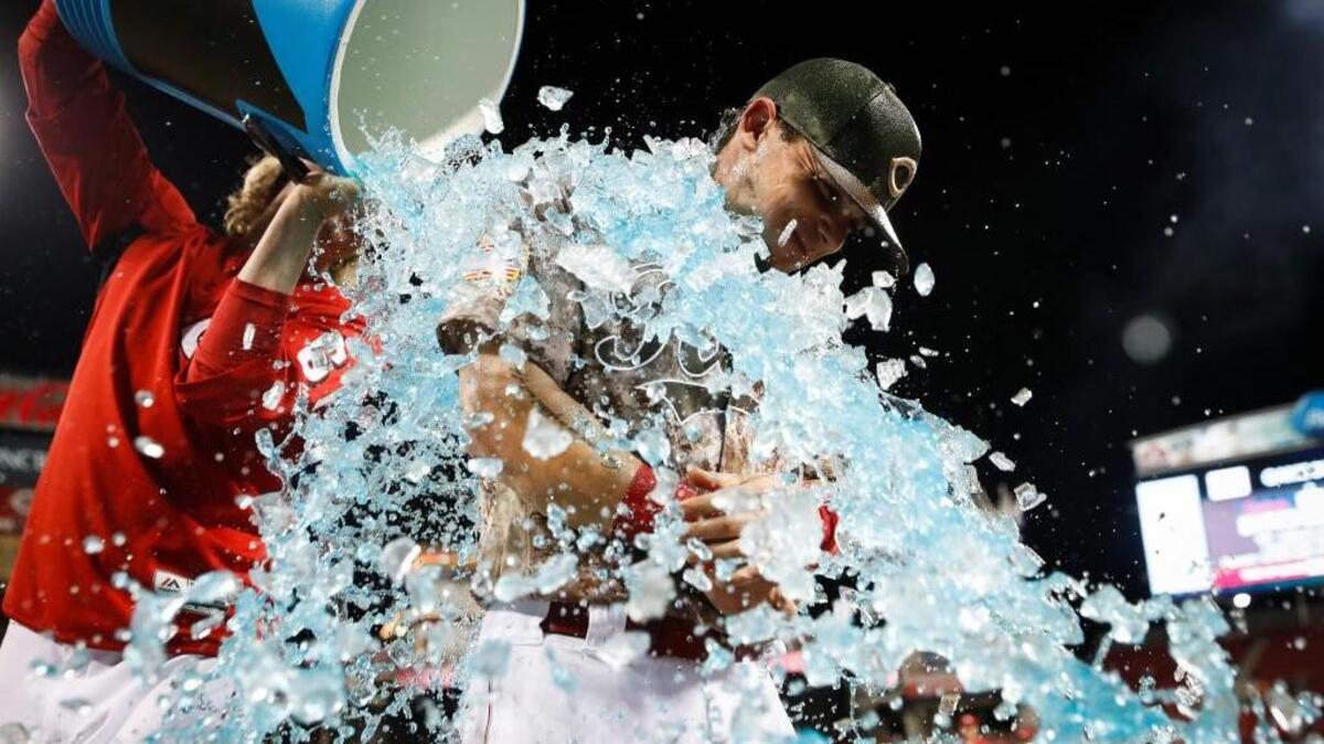 Cincinnati Reds' Scooter Gennett is dunked after a baseball game against the St. Louis Cardinals, Tuesday, June 6, 2017, in Cincinnati. The Reds won 13-1. Gennett recorded four home runs, including a grand slam.
