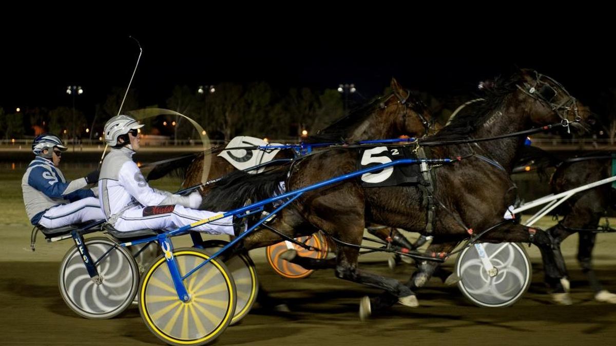 Harness driver Tyler Smith, riding No. 5 Emery Vern, moves past David Siegel, riding Hoosier Bogo, at Cal Expo in Sacramento in 2014. Harness racing and thoroughbred horse racing will not take place at the State Fair this year.