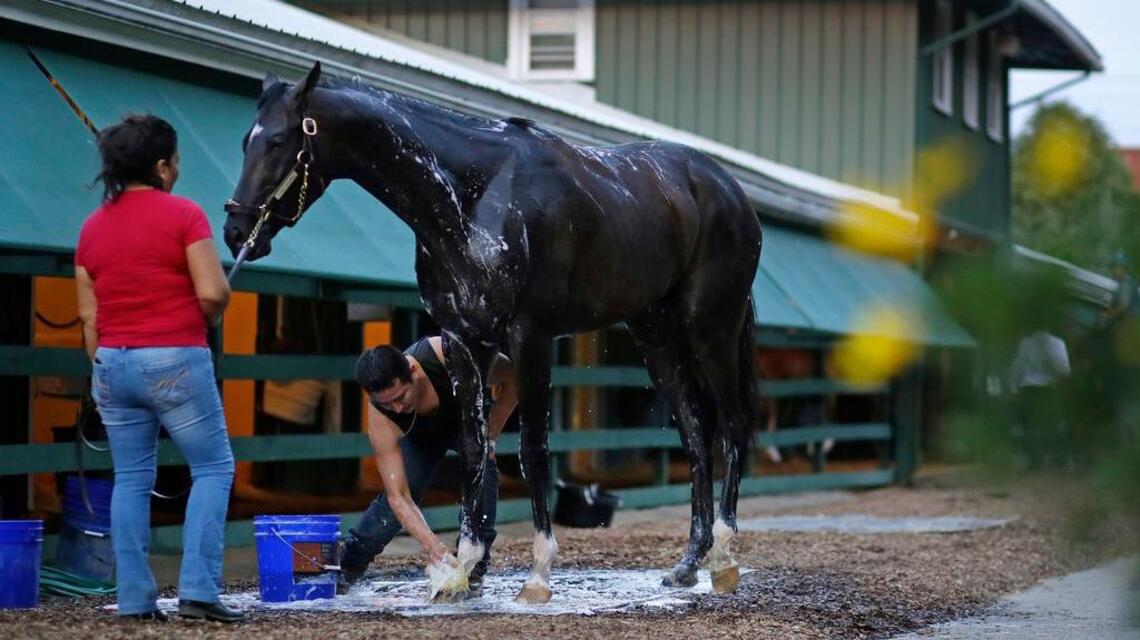 Fast track to victory? Always Dreaming trainer, jockey seek Preakness breakthrough