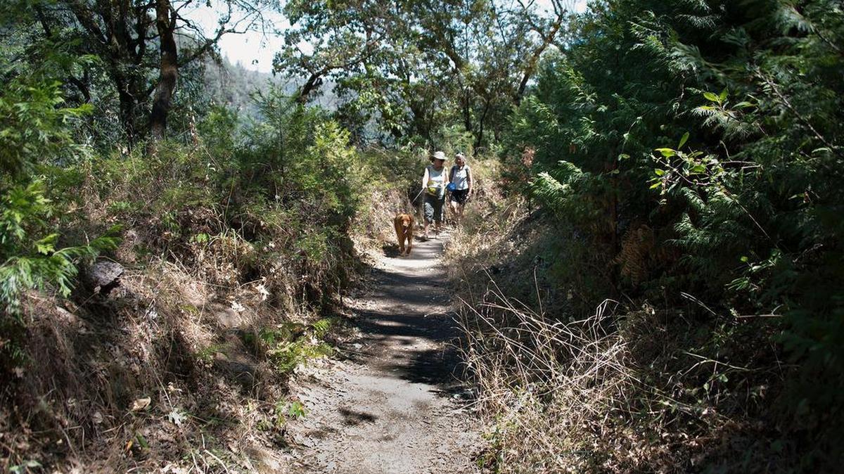 
Mari Weaver of Grass Valley, front, and her friend Ellen Williams of Madera Ranchos hike the wheelchair-accessible Independence Trail in South Yuba River State Park.
