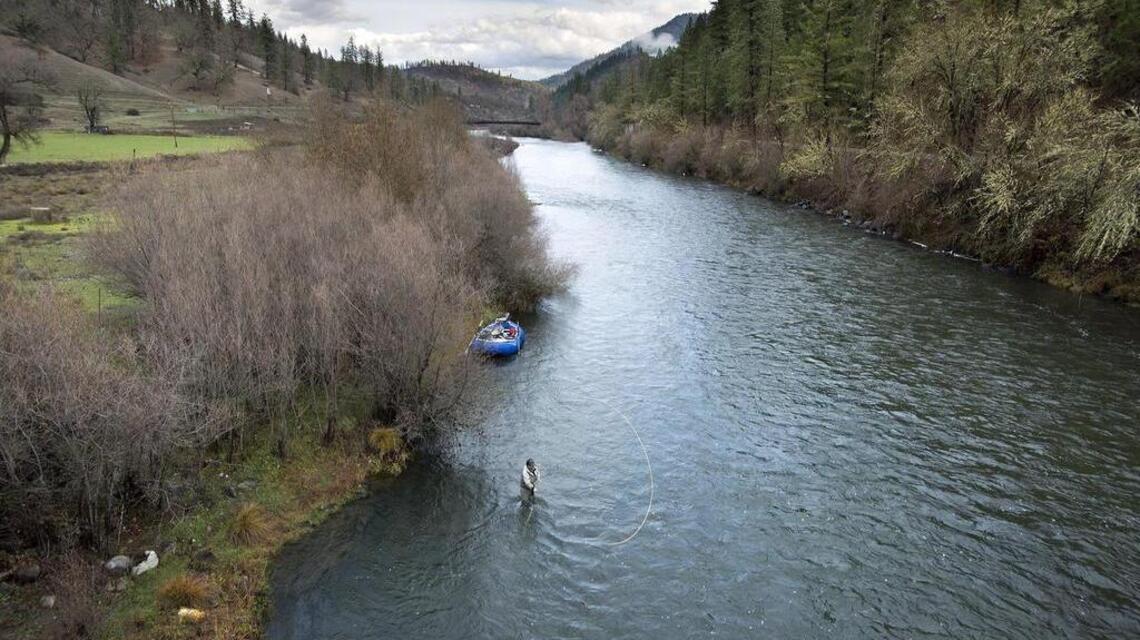 Steelhead season opens in American River