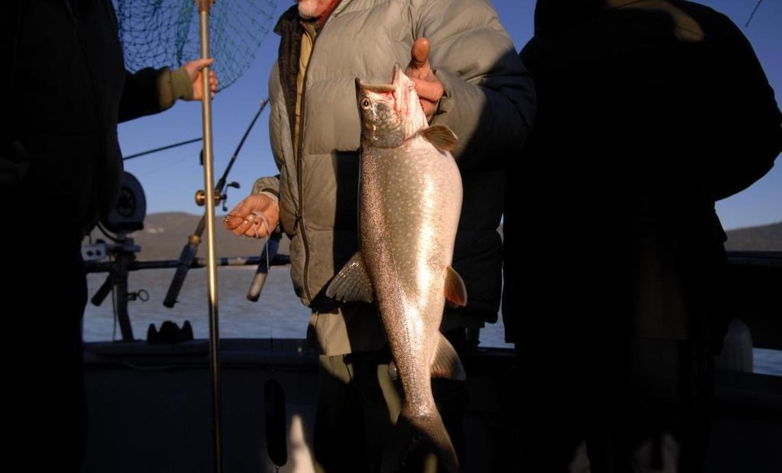 Mackinaw are being taken out of Lake Tahoe in good numbers, providing some of the north state’s top fishing action. FishBooker, a fishing guide platform, highlighted lakes across the country known for their Trout fisheries