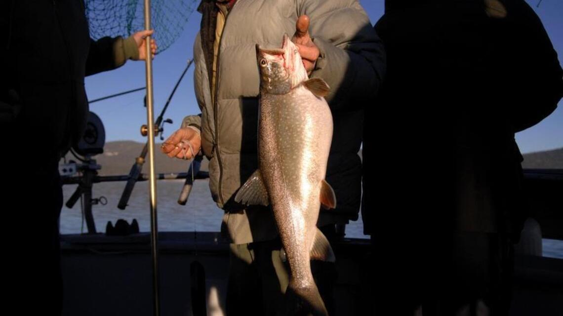 Mackinaw bite is on at Lake Tahoe; shad action continues in rivers
