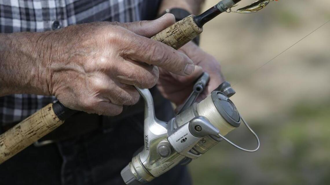 Shad, stripers biting in Sacramento River