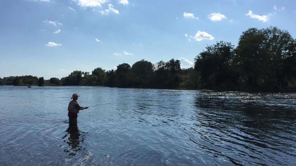 Fishing report: Week of June 5