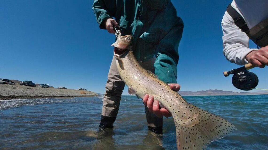 Fishing Line: Pyramid Lake has exceptional opener for cutthroats