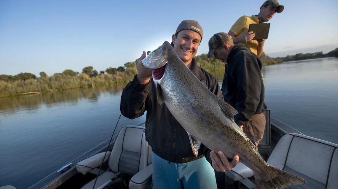 Salmon fishing inconsistent in Delta region