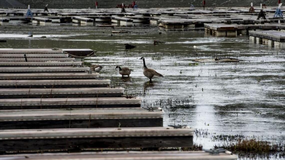 Folsom Lake and American River fishing improves as water levels rise