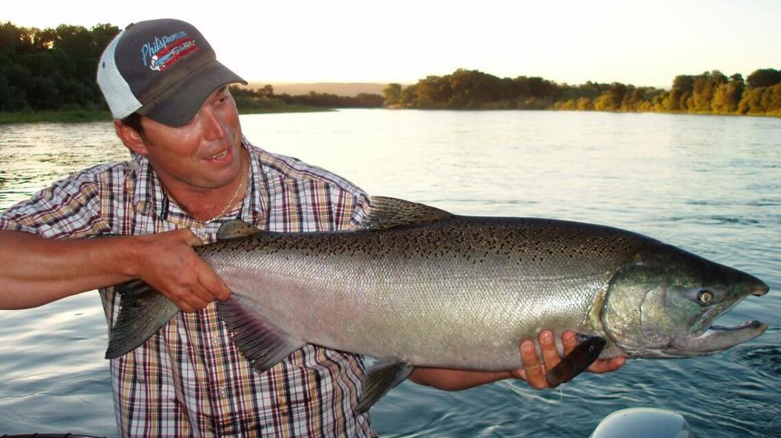 Salmon fishing improving in Sacramento River