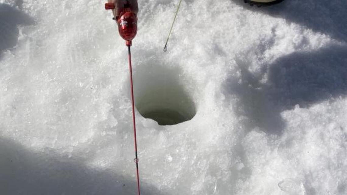 Steelhead slow on opening weekend in American River