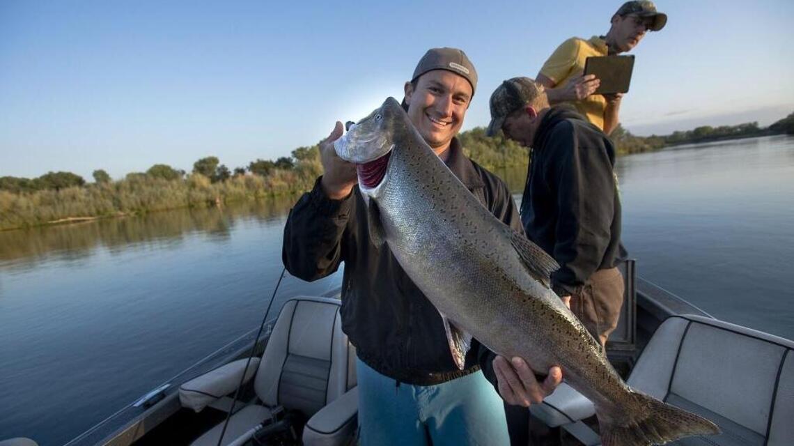 Salmon fishing improving in American River