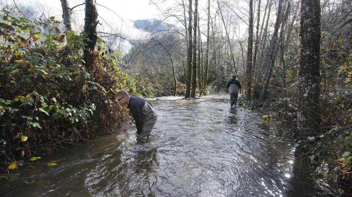 Salmon season opens Saturday, July 16