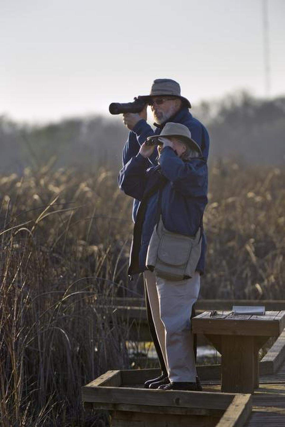 Dave Candey and Pam Griggs of Sacramento are bird-watching at Cosumnes River Preserve in Galt. The region attracts Pacific Flyway tourists to see birds’ winter habitat.