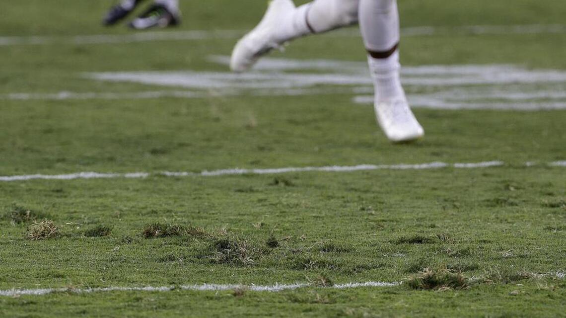 Shoddy lawn sore sight for 49ers’ $1.3 billion home