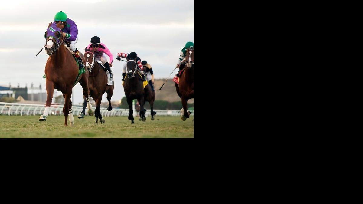 California Chrome, ridden by Victor Espinoza in purple silks, wins the Hollywood Derby on the turf Nov. 29 at Del Mar.