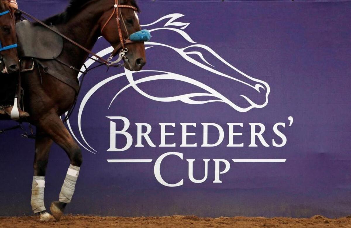 A horse and rider make their way to the paddock during morning workouts Tuesday in Del Mar. Del Mar is hosting the $28 million, 13-race Breeders’ Cup for the first time. The season-ending championships open with four races on Friday, followed by nine, including the Classic, on Saturday.