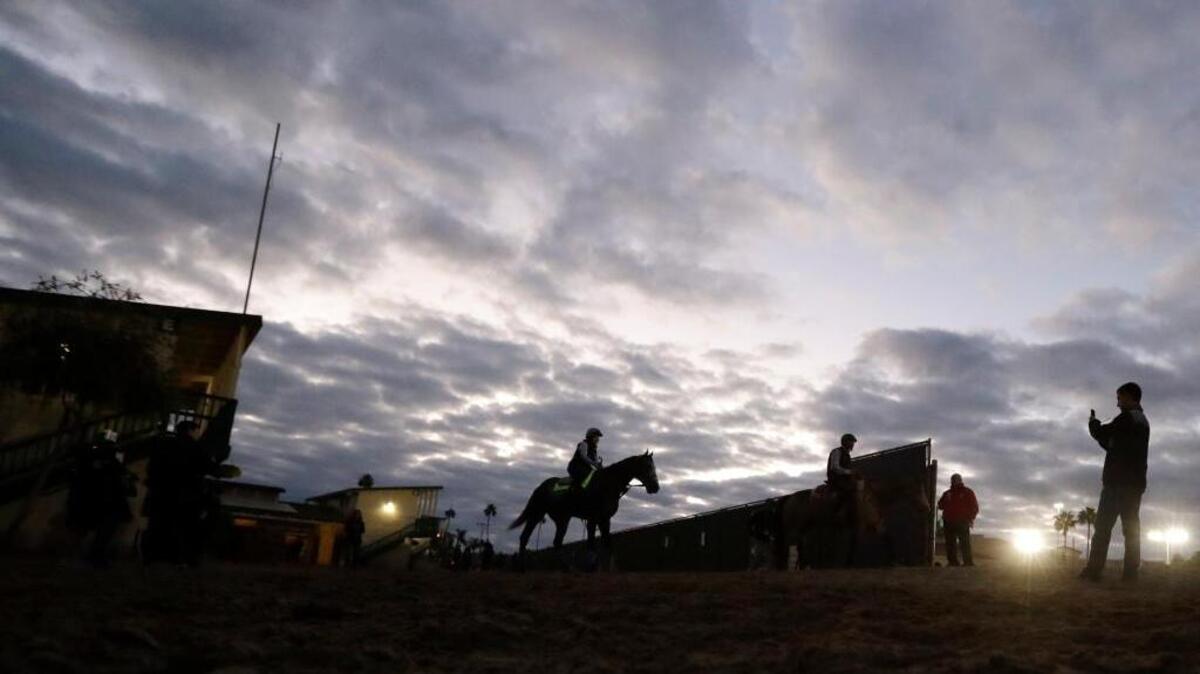 Exercise rider Dana Barnes rides Arrogate, center, on their way to morning workouts at the Breeders Cup horse races Thursday in Del Mar. The season-ending championships open with four races on Friday followed by nine, including the Classic, on Saturday.